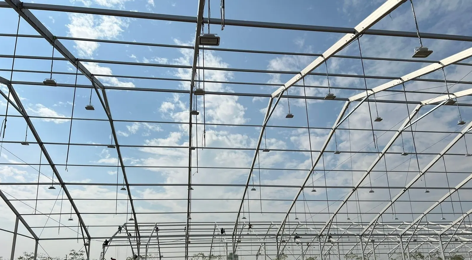 Temporary Warehouses